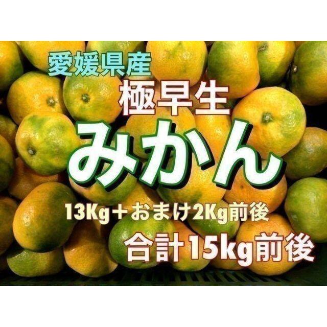 RKY12 大特価！愛媛県産 極早生みかん 約15Kg前後 訳あり 蜜柑 食品/飲料/酒の食品(フルーツ)の商品写真