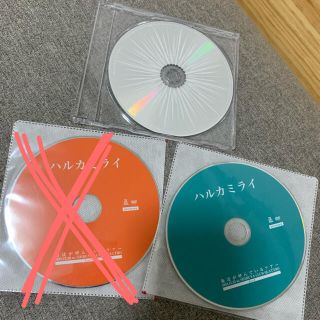 ハルカミライ　DVD CD 【非売品】　　(ポップス/ロック(邦楽))