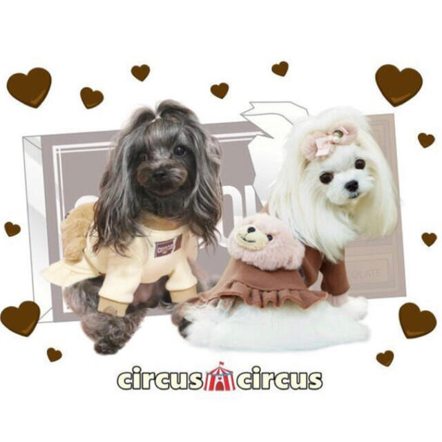 Choco Bear Girls Sweat 【circus circus 】