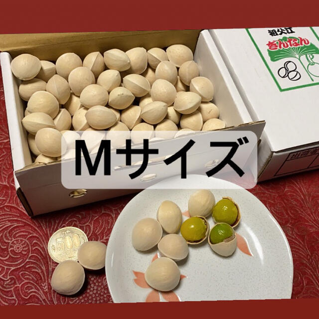 祖父江銀杏　久寿　Mサイズ 食品/飲料/酒の食品(野菜)の商品写真