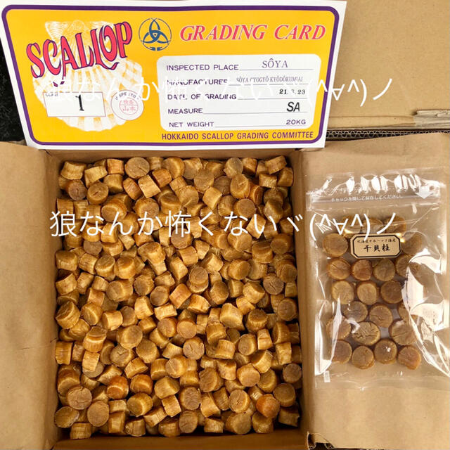 北海道産乾燥帆立貝柱 ホタテ貝柱 SA 1等級 1kg（100g×10）貝柱