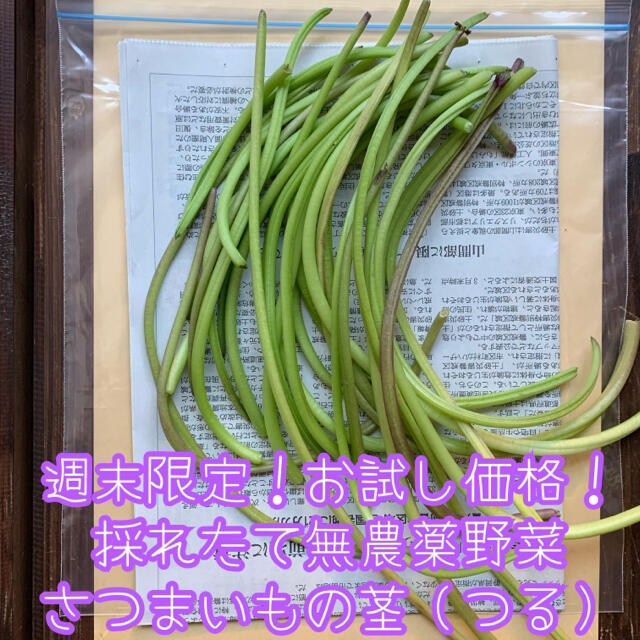 週末限定！お試し価格！採れたて無農薬野菜＊さつまいもの茎（つる）＊約150g✳︎ 食品/飲料/酒の食品(野菜)の商品写真