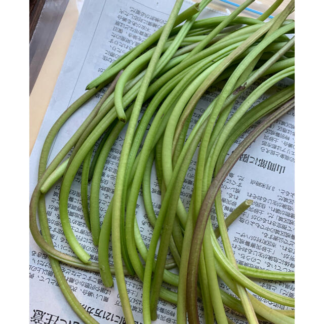 週末限定！お試し価格！採れたて無農薬野菜＊さつまいもの茎（つる）＊約150g✳︎ 食品/飲料/酒の食品(野菜)の商品写真