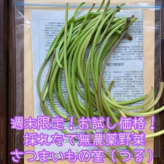 週末限定！お試し価格！採れたて無農薬野菜＊さつまいもの茎（つる）＊約150g✳︎(野菜)