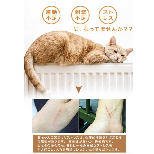 猫玩具 ねこのおもちゃ ライト 肉球 その他のペット用品(猫)の商品写真