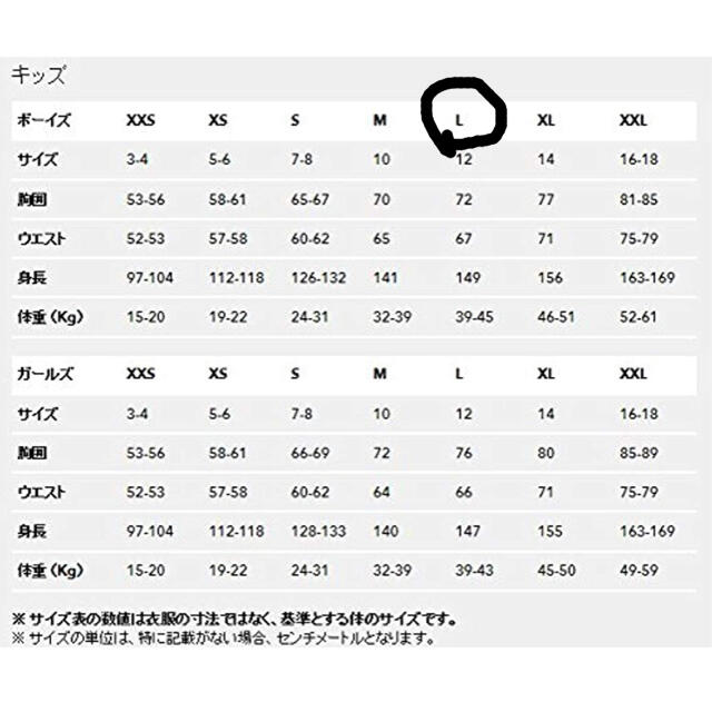 耐熱性防虫網戸用ネット レックスネット グラスファイバーメッシュ ブラック 18 14メッシュ 幅91cm 長さ22m カット販売 防虫網戸 張りやすい - 2