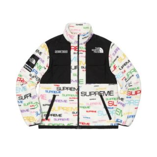 シュプリーム(Supreme)のSupreme North Face Steep Tech Fleece(マウンテンパーカー)