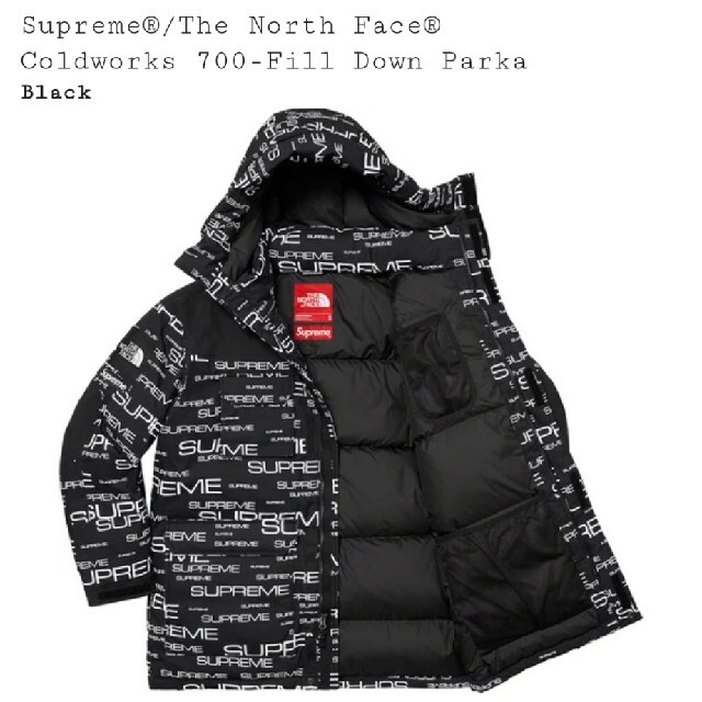 Supreme×TNF☆700-Fill Down Parkaシュプノース