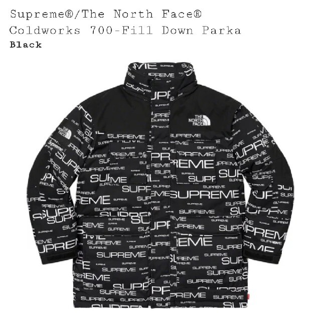 Supreme×TNF☆700-Fill Down Parkaシュプノース