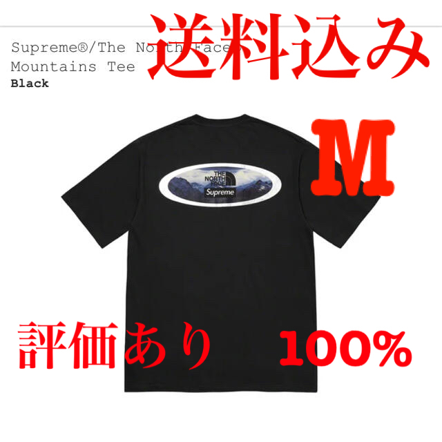 Tシャツ/カットソー(半袖/袖なし)Supreme The north face Mountains Tee 黒　M