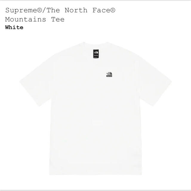 supreme the north face xl