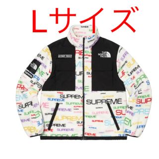 シュプリーム(Supreme)のSupreme North Face Steep Tech Fleece L(その他)