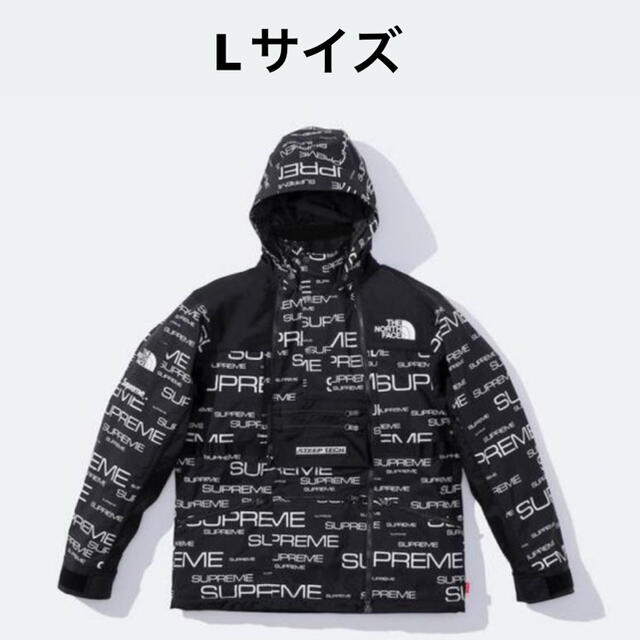 supreme the north face