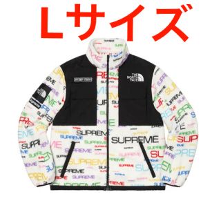 シュプリーム(Supreme)のSupreme North Face Steep Tech Fleece L(その他)