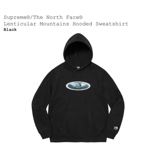 supreme The North Face Hooded Sweatshirtのサムネイル