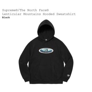 シュプリーム(Supreme)のsupreme The North Face Hooded Sweatshirt(パーカー)