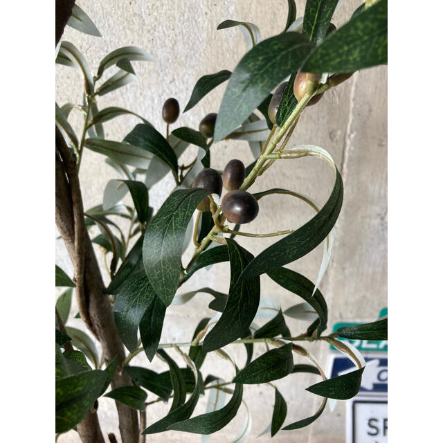 光触媒　人工観葉植物　ウォールグリーン　造花　アレンジ　オリーブ132 4