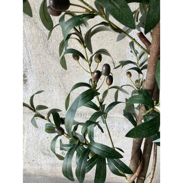 光触媒　人工観葉植物　ウォールグリーン　造花　アレンジ　オリーブ132 8
