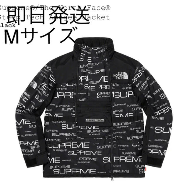 supreme the north face steep tech L