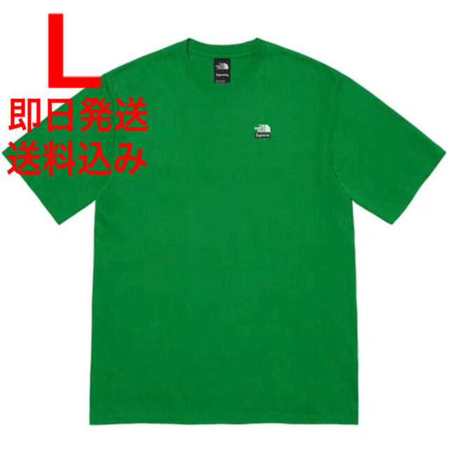 トップスL The North Face Mountains Tee