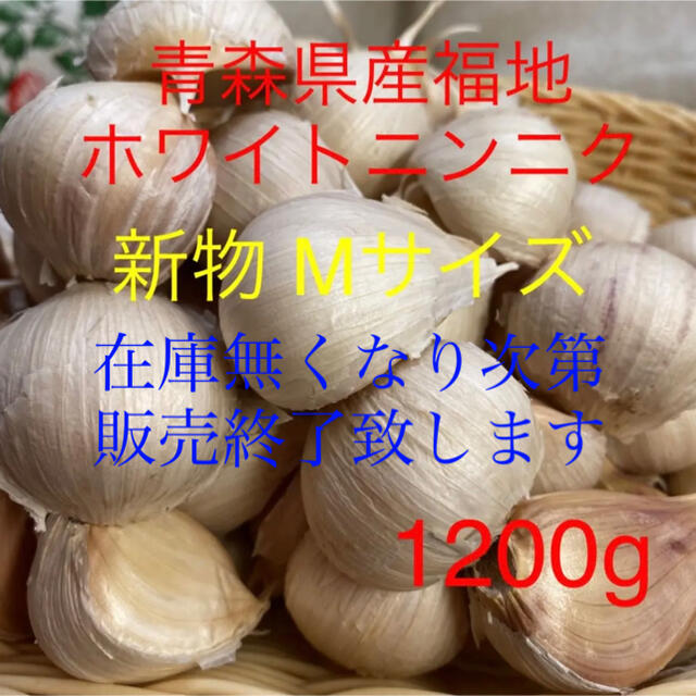 新物 青森県産福地ホワイトニンニクMサイズ1200g  食品/飲料/酒の食品(野菜)の商品写真