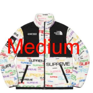 シュプリーム(Supreme)のM Supreme North Face Steep Tech Fleece(その他)