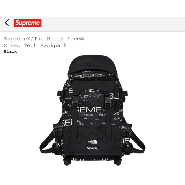 supreme north face Steep Teck BackPack