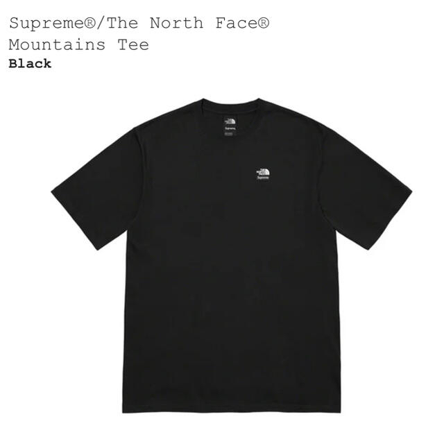 Supreme(シュプリーム)の☆Supreme✖️THE NORTH FACE☆Black☆Lサイズ☆ メンズのトップス(Tシャツ/カットソー(半袖/袖なし))の商品写真