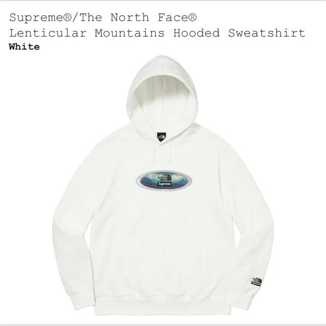 Supreme North Face Hooded Sweatshirt M
