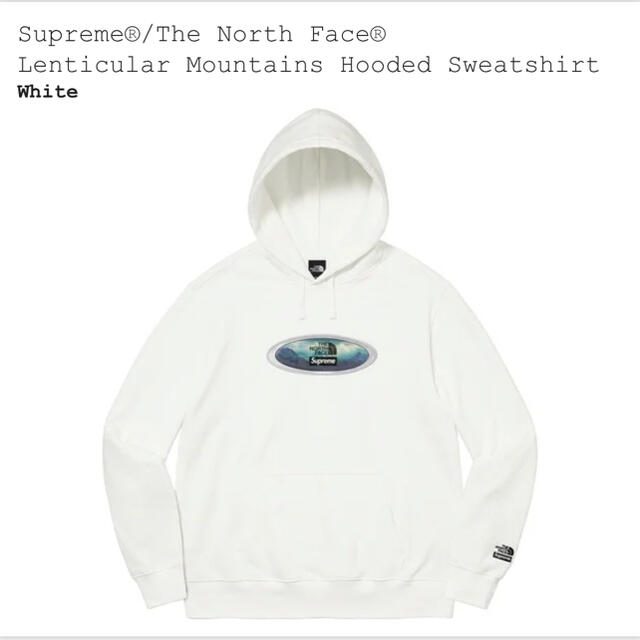 M  Supreme The North Face Hooded パーカー