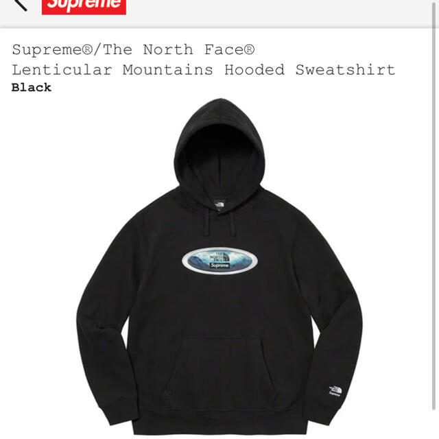 Supreme The North Face  即日発送可能