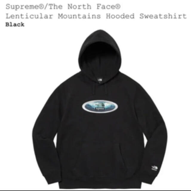 Supreme North Face Lenticular Hooded M