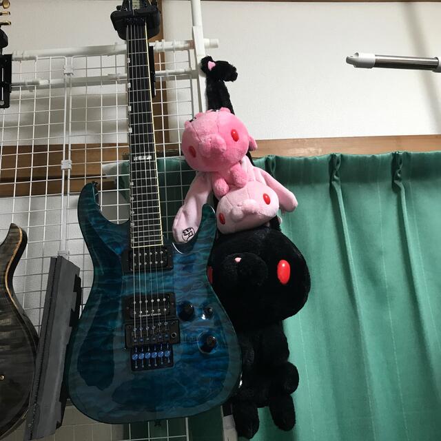 ESP(イーエスピー)のESP HORIZON CUSTOM 楽器のギター(エレキギター)の商品写真