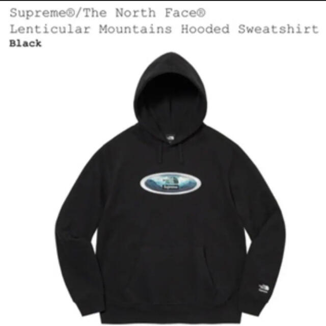 トップスSupreme North Face Lenticular Hooded L