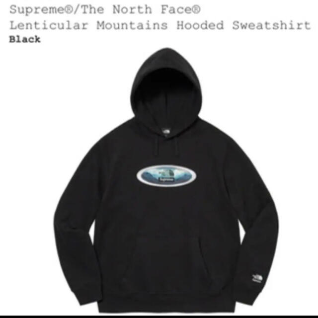 Supreme The North Face Lenticular Hooded - パーカー