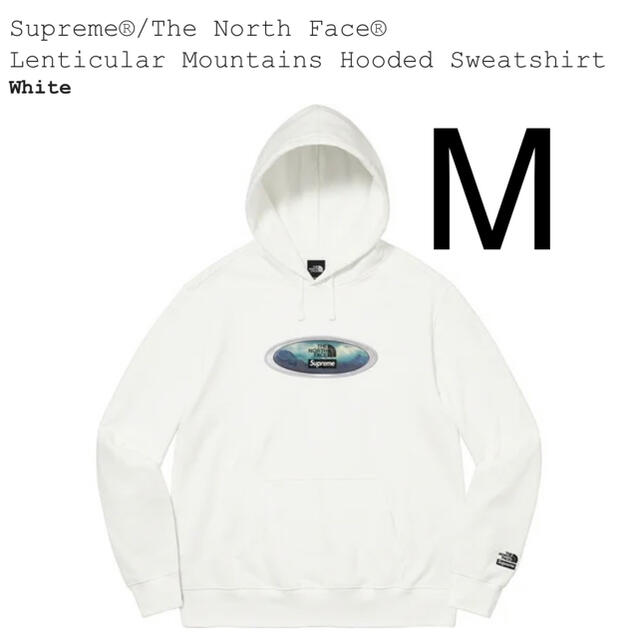 ディスプレイが Supreme / The North Face マウンテンフーディー