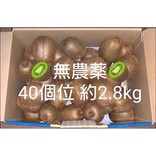 ③【無農薬・要追熟】グリーンキウイ　キウイフルーツ　40個位　約2.8kg(フルーツ)