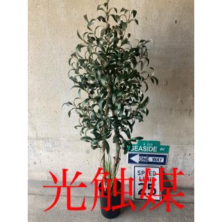 光触媒　人工観葉植物　ウォールグリーン　造花　アレンジ　オリーブ121(置物)