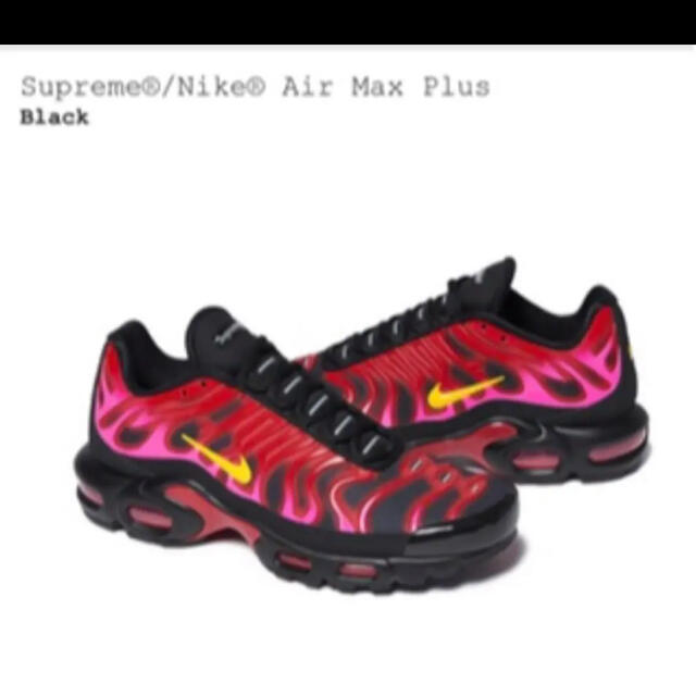 supreme/Nike Air Max Plus 26.5cm