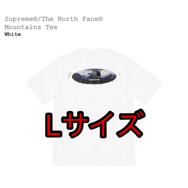 supreme×north face tee mountains