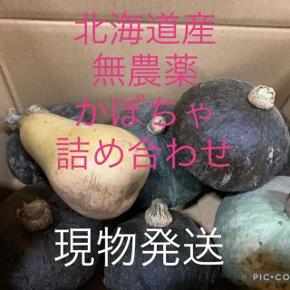 北海道産無農薬かぼちゃ　詰め合わせ(野菜)