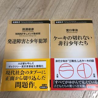 2冊セット　発達障害と少年犯罪　ケーキの切れない非行少年たち(人文/社会)