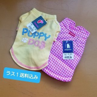 ★ポンポリース　犬服１号　２枚セット⑥(犬)