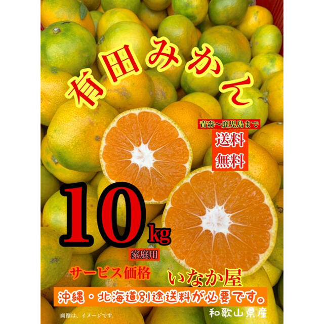 和歌山県産　数量限定　有田　みかん　家庭用　セール10kg早い者勝ち 食品/飲料/酒の食品(フルーツ)の商品写真