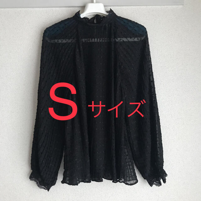 ZARA(ザラ)のZARA ドット柄 メッシュブラウス　Sサイズ レディースのトップス(シャツ/ブラウス(長袖/七分))の商品写真