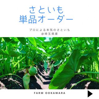 えみちゃん専用🌟埼玉県産さといも　産地直送(野菜)