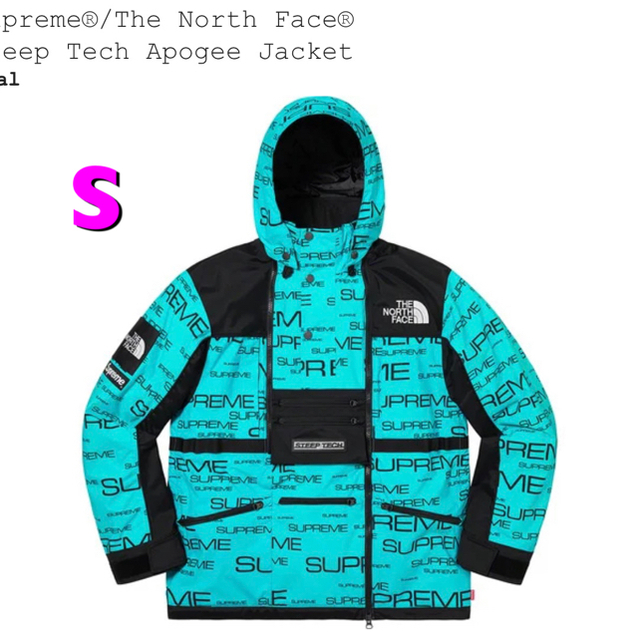 ジャケット/アウターSupreme  North Face Steep Apogee Jacket