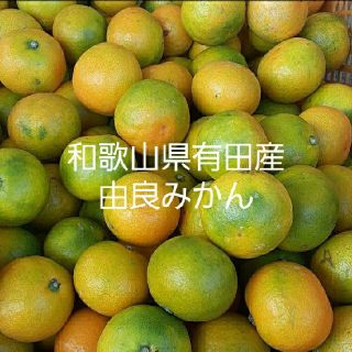 和歌山県有田産　小粒由良みかん5kg(フルーツ)