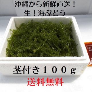 茎つき　生！海ぶどう１００ｇ（シークヮーサー果汁入りタレ付き）新鮮直送！  (その他)