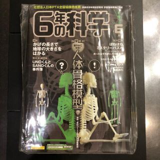 ガッケン(学研)の学研の学年別科学教材　6年の科学(6月号) 人体骨格模型(絵本/児童書)